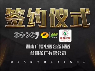 湘益茯，美茗揚 丨湘益茯茶與茶頻道達成長(cháng)期戰略合作