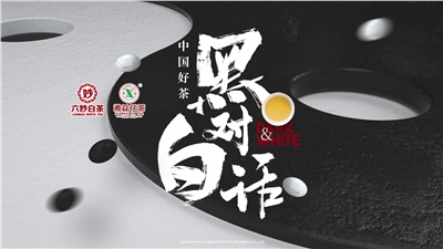 首屆黑白對話(huà)高峰論壇圓滿(mǎn)落幕！湘益茯茶備受關(guān)注！