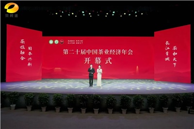 【聚焦第二十屆中國茶業(yè)經(jīng)濟年會(huì )】益陽(yáng)茶廠(chǎng)榮獲“民族團結互助企業(yè)”、“2024年度茶業(yè)重點(diǎn)企業(yè)”榮譽(yù)稱(chēng)號