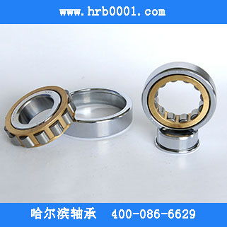 哈爾濱軸承濟(jì)南公司 圓柱滾子軸承nu206em 現(xiàn)貨銷(xiāo)售